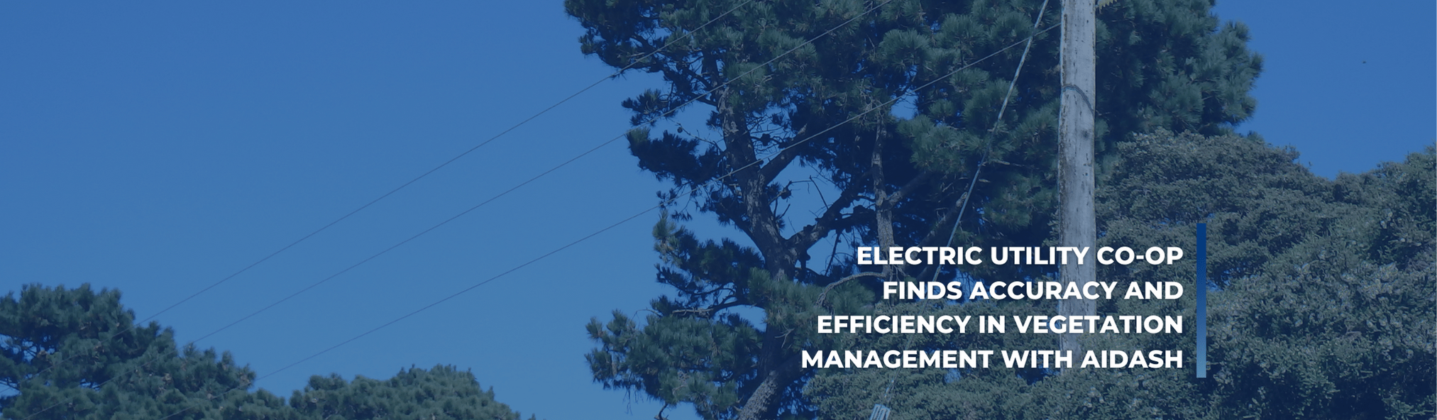 Electric Utility Co-op Finds Accuracy and Efficiency In Vegetation Management With AiDash
