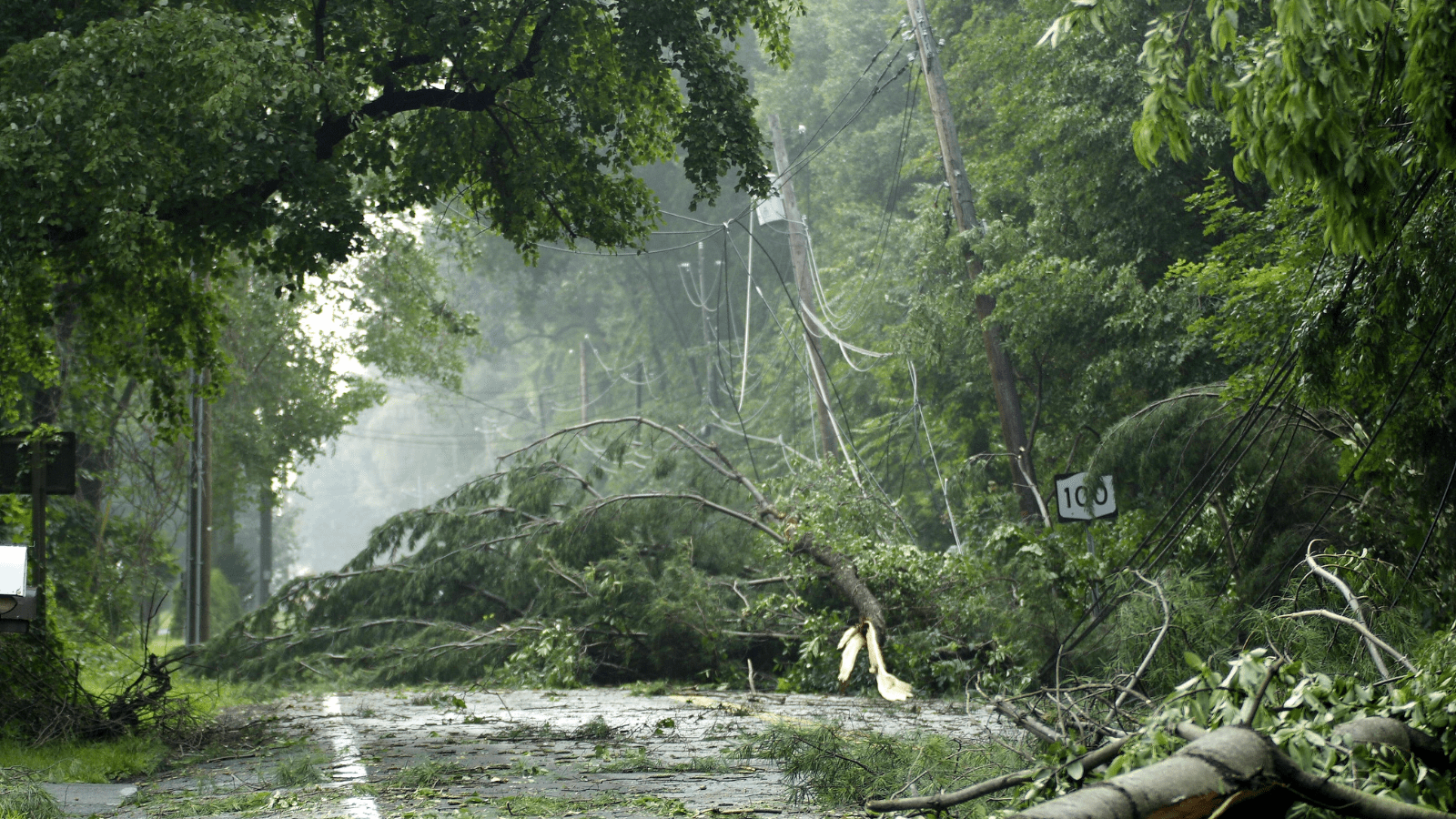 Storm damage