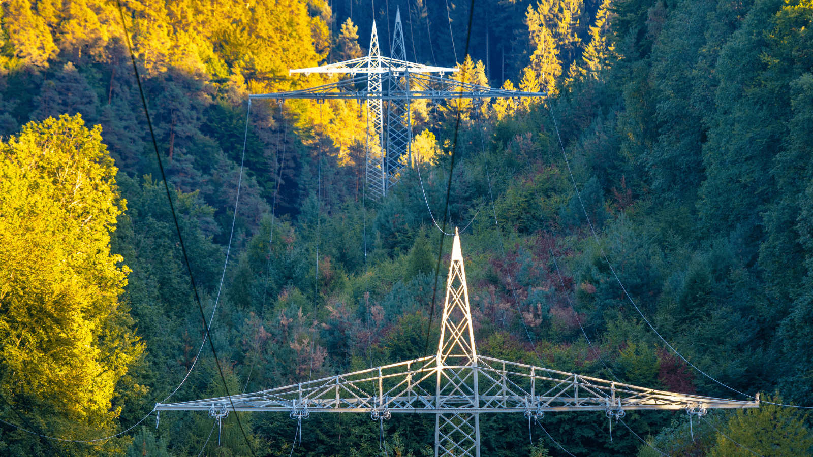 How Satellites and AI Helped a Fortune 500 Electric Utility Achieve Its Lowest Vegetation CI Levels Ever