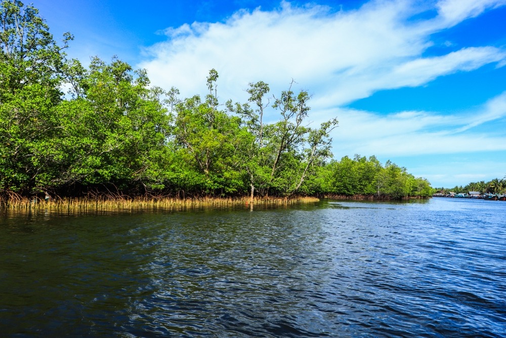 South West Water assesses biodiversity across 2,000 sites using remote sensing