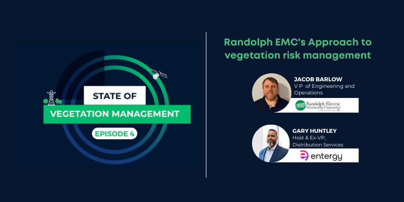 State of vegetation management Ep 4: Randolph EMC’s approach to vegetation risk management