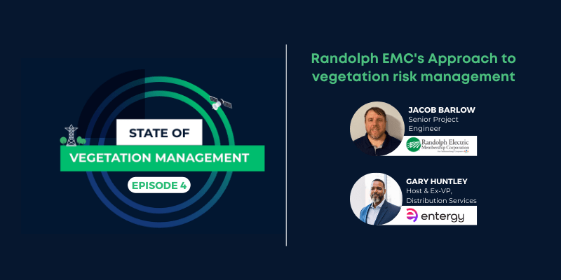 State of vegetation management Ep 4: Randolph EMC’s approach to vegetation risk management
