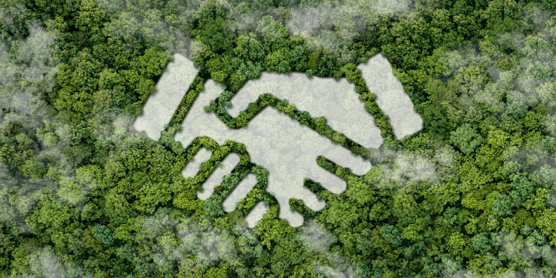 Langley Abbey Environment Project: Turning sustainability into profit by generating and selling BNG units