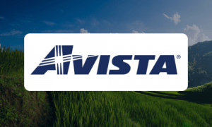 Avista makes IVMS a central component in its vegetation management operation