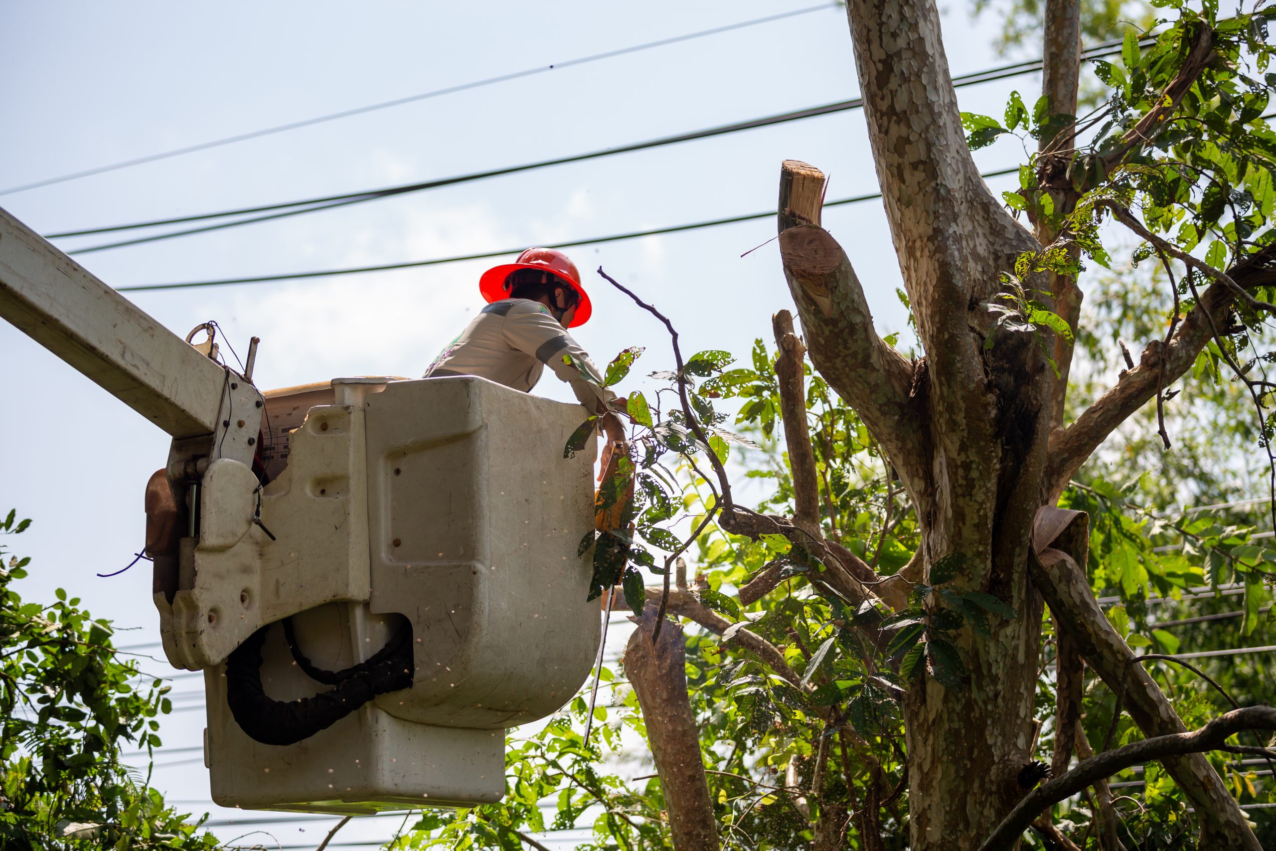 Tech FAQ: How does CRIS predict storm outages, damage, and resource allocation?