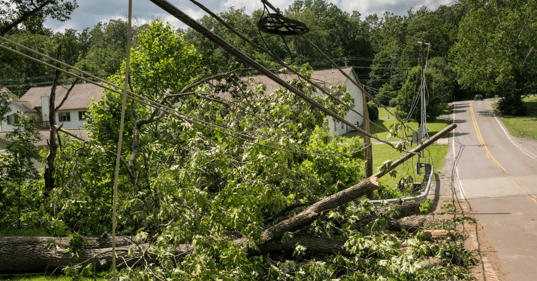 AiDASH introduces enhanced hazard tree management